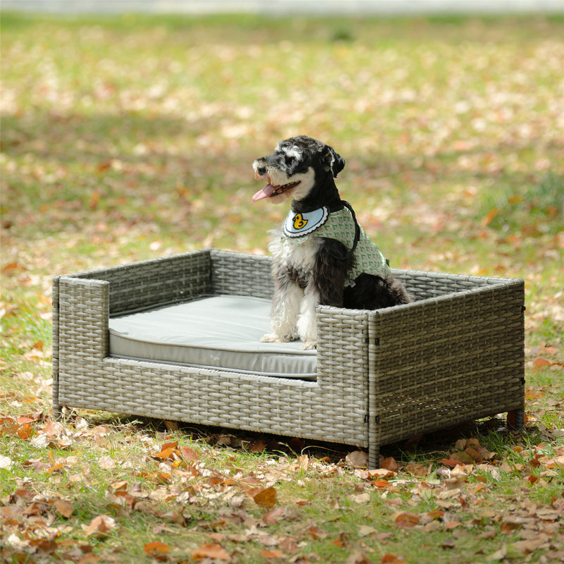 Tucker Murphy Pet Outdoor Dog Bed Patio Seasonal PE Wicker Pet Bed with Cushion Ultra Soft and Durable Wayfair Canada